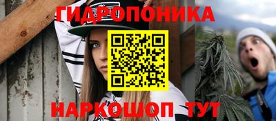 шишки Краснодар