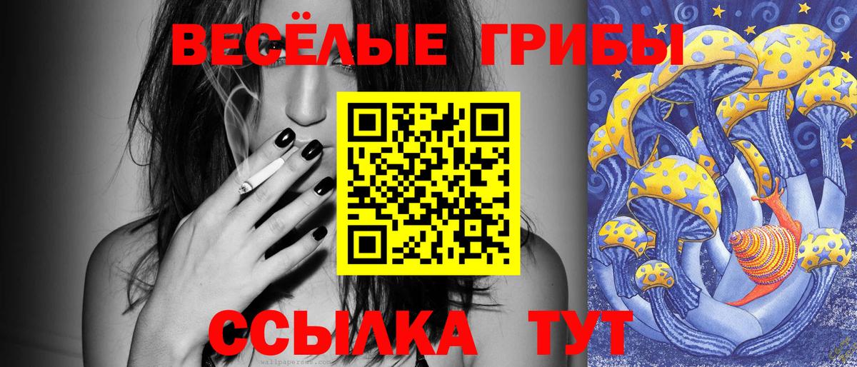 Галлюциногенные грибы Psilocybe  закладка  Ейск  Вход с VPN 